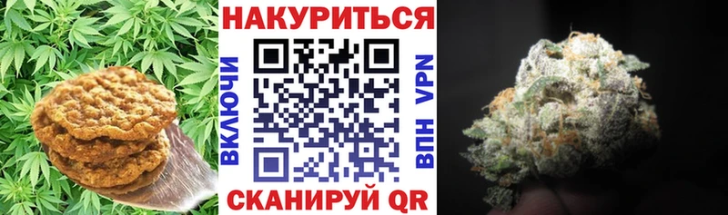 Cannafood конопля  Новошахтинск 