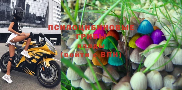 apvp Карталы