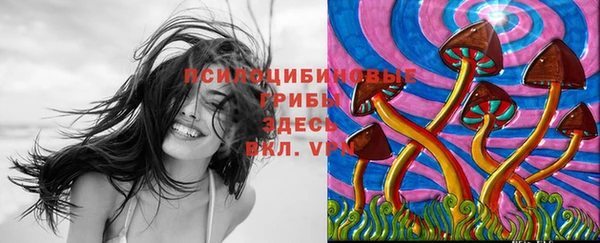 мескалин Карпинск