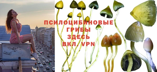 первитин Касимов