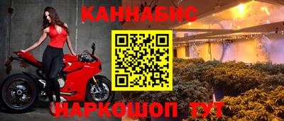 шишки Заволжье