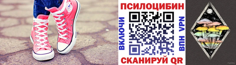 Псилоцибиновые грибы Psilocybe  Новошахтинск 