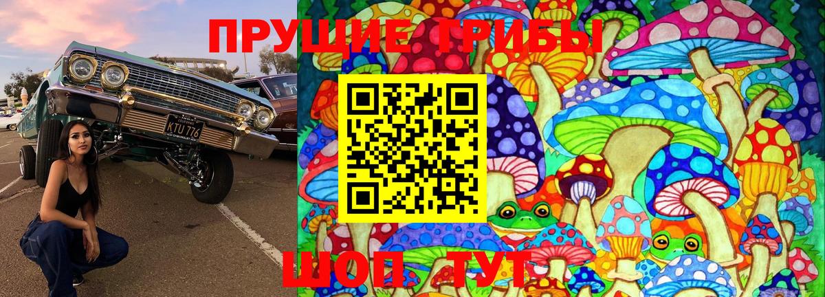 Псилоцибиновые грибы Magic Shrooms  Вход с VPN  где найти наркотики  Псилоцибиновые грибы MAGIC MUSHROOMS  Новошахтинск 
