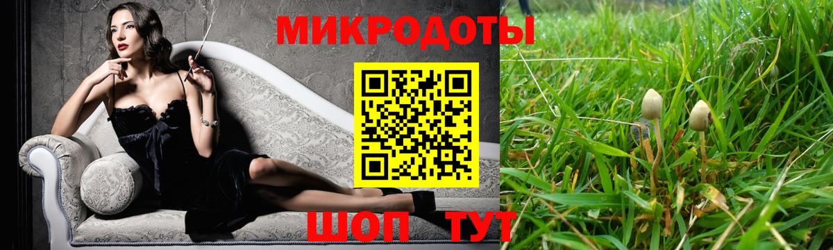 Галлюциногенные грибы GOLDEN TEACHER Новошахтинск